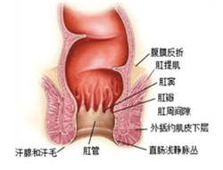 科普贴：做爱有风险，需谨慎（小受的痛小攻不会懂）